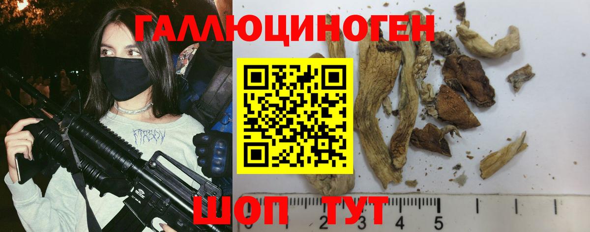 Галлюциногенные грибы MAGIC MUSHROOMS Сергиев Посад