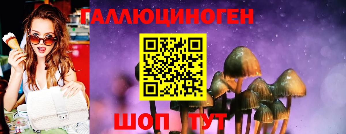 Сергиев Посад  Галлюциногенные грибы прущие грибы  Вход с VPN 
